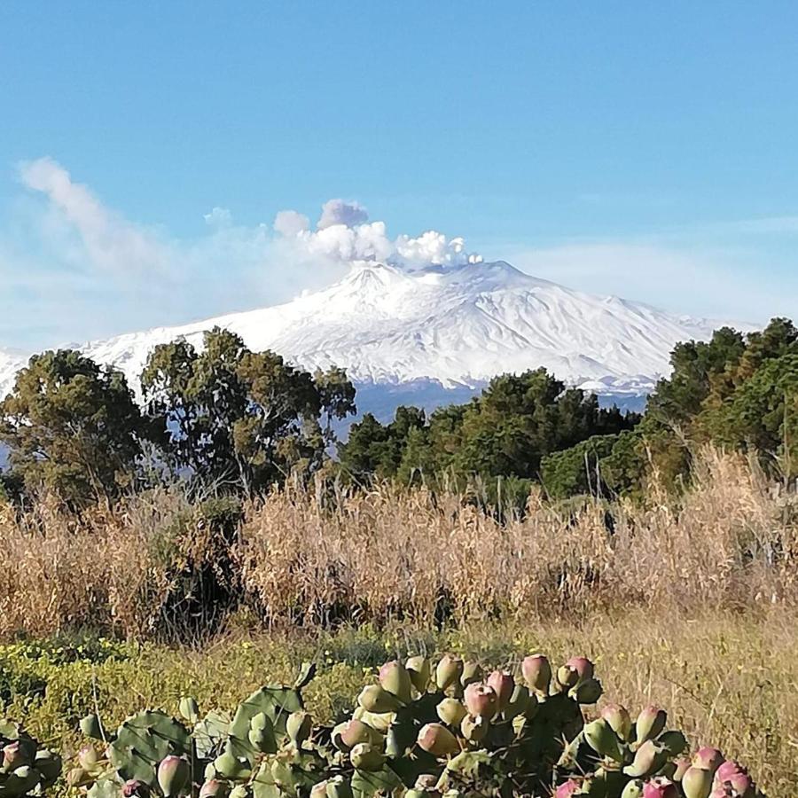 리포스토 Casa Donna Rosaria Tra Etna E Taormina 아파트 외부 사진